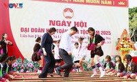 National Great Unity Day celebrated in Vietnam’s communities 