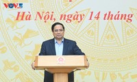 PM seeks to optimize signing, delivery of Vietnam's international commitments 