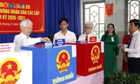 President Luong Cuong, other senior leaders cast their ballots 