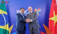 Thủ tướng Phạm Minh Chính hội đàm với Tổng thống Brazil Luiz Inacio Lula da Silva