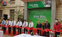 Trưng bày Việt Bắc - Thủ đô gió ngàn: khẳng định tầm vóc lịch sử Ngày Toàn quốc kháng chiến