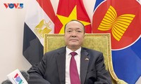 Mở ra giai đoạn hợp tác mới với Ai Cập và Angola