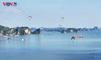 Contemplar belleza de la bahía de Ha Long en parapentes