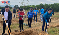 Les provinces vietnamiennes célèbrent la tradition de plantation d’arbres