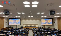 Le Vietnam soutient un cadre mondial de gestion des munitions respectueux du droit international et de la Charte de l'ONU