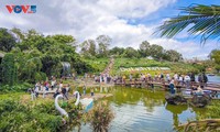 Le tourisme de Dak Lak en plein essor en ce début du Nouvel an lunaire