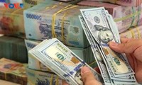 Kiều hối chuyển về Thành phố Hồ Chí Minh dự kiến đạt 10,5 tỷ USD
