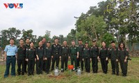 Vietnam ramps up peacekeeping efforts with inter-ministry collaboration