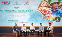 Đưa Vải thiều Việt Nam vươn ra thế giới