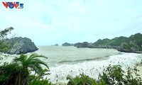  Cát Bà: điểm hẹn mùa hè