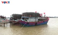 Ngư dân ngày càng nhận thức rõ hơn về IUU