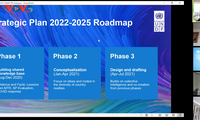 UNDP ប្រកាសពីអាទិភាពអភិវឌ្ឍន៍ដំណាក់កាល ២០២១-២០២៥ សម្រាប់តំបន់អាស៊ី-ប៉ាស៊ីហ្វិក