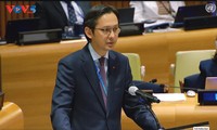 Vietnam calls on international community to eliminate nuclear weapons