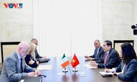 Vietnam, Ireland pledge stronger ties in multiple fields