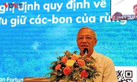 Vietnam aboga por construir un marco legal para desarrollar el mercado de carbono forestal