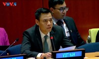 Vietnam unterstützt die Mühe der UNO zur Verbesserung der Arbeit