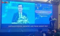 E-commerce, digital economy to drive Vietnam’s future growth