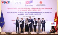 Partenariat Vietnam-Union européenne à l’ère post-Covid-19