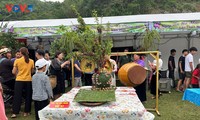 Phiêng Khoài mise sur les vergers pour dynamiser son économie rurale