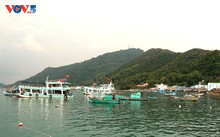 Para Komandan, Prajurit dan Masyarakat di Wilayah Pulau Barat Daya Yakin pada Kesuksesan dan Terobosan Kongres Nasional XIV PKV