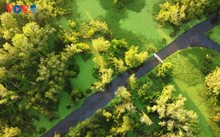 Tra Su, la reserva forestal que sitúa a An Giang en el mapa del ecoturismo