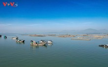 Quảng Ninh hoàn thành sớm các chỉ tiêu quản lý tàu cá, không có tàu cá vi phạm vùng biển nước ngoài