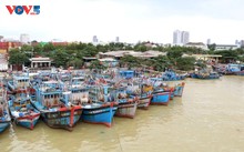 Le Vietnam modernise ses ports pour combattre la pêche illicite