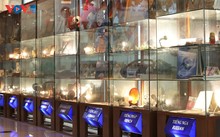 Clôture du concours «Que savez-vous du Vietnam 2025»: un bel élan d’amitié internationale