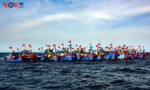Provinsi Dak Lak Tindak Tegas Pelanggaran Eksploitasi Hasil Perikanan, Berupaya Cabut Kartu Kuning IUU