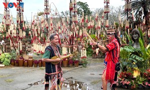 베트남 전국 각지, 2026년 새해맞이 활동 다채롭게 펼쳐져