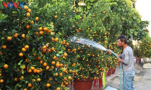 年货运抵李山岛