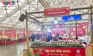 Spring Fair 2026 stimulates Tet shopping 