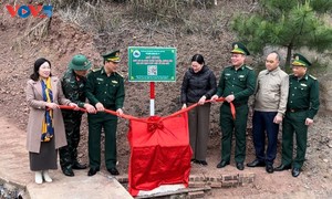 ランソン省における「デジタル国境情報」モデルの有効性