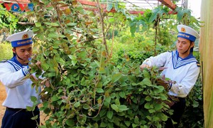 베트남 서남해 도서 지역 군·민, 제14차 당 대회 통한 국가 도약에 큰 기대