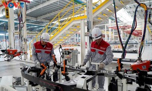 «Цифровая трансформация» - движущая сила новой модели роста в провинции Куангнинь