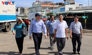 Ciudad Ho Chi Minh refuerza el control sobre los buques pesqueros que no cumplen las condiciones para zarpar