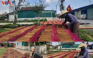 Aldea de inciensos artesanales en Ha Tinh entra en su temporada alta 