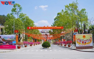 El Festival de las Flores Bauhinia de 2026 ofrecerá a los visitantes una rica experiencia