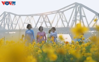 Le tapis de fleurs sous le pont Long Biên séduit les visiteurs