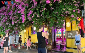 Mehr als zwölf Millionen ausländische Touristen besuchen Vietnam in den vergangenen sieben Monaten