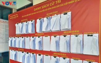 Hanoi bereitet gründlich für die Wahlen vor