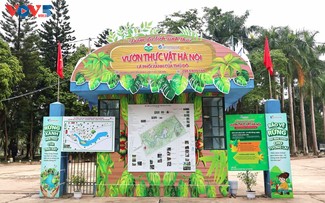 Botanischer Garten von Hanoi: Ein attraktives grünes Touristenziel