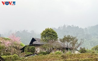 Bergige Dörfer in rosafarbener Kirschblüten
