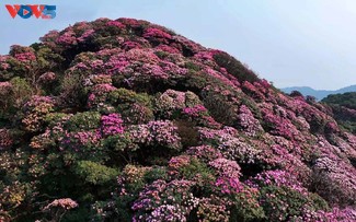 라이쩌우 뿌딸랭 축제···다채로운 활동으로 펼쳐져