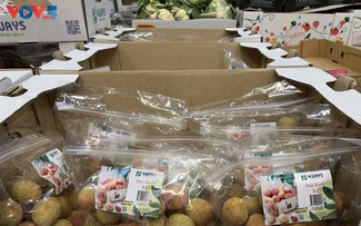 Vietnamese lychees sold at Costco stores across Australia