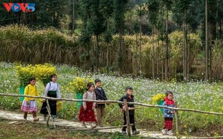 春天——河江省一年中最美的季节