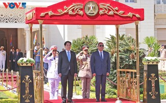 Gespräch zwischen Staatspräsident Luong Cuong und Ägyptens Präsidenten Abdel Fattah El-Sisi