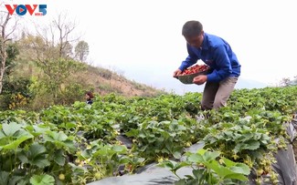 Thanh niên Lai Châu khởi nghiệp, lập nghiệp trong thời đại số