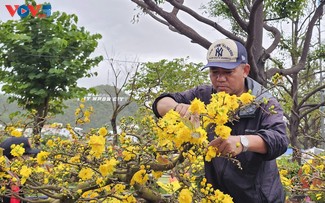 Khai mạc nhiều hoạt động tôn vinh bản sắc văn hóa Tết