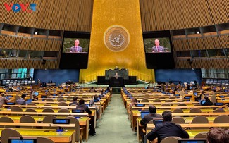 Vietnam calls for swift global action to address crises in Gaza, Middle East 